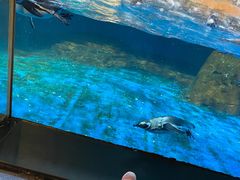 -海合安武汉极地海洋公园