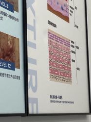 -蕾特恩专业祛痘·皮肤管理