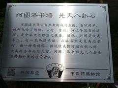-广州神农草堂中医药博物馆