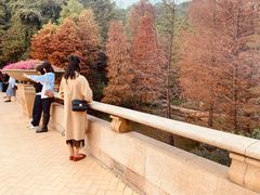 -云溪植物园