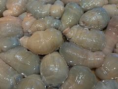 -小厨师·二十年沈家门小海鲜(百井坊巷店)