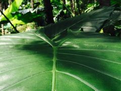 iphone_upload_pic-七仙岭君澜度假酒店