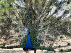 -静之湖湖畔餐厅