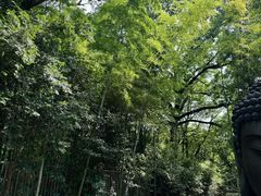 -杭州植物园