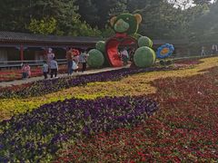 -大芦花风景区