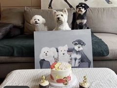 -Refn油画丨零基础定制油画