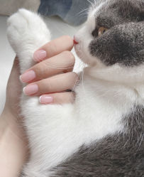 -七月美睫 美甲