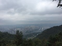 -南山植物园