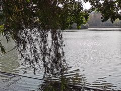 -荔枝公园(福田区)