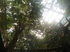 景点-呀路古热带植物园