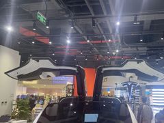 -TESLA 特斯拉(北京颐堤港体验店)