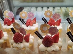 -蒲公英(象山北路店)