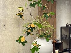 -苏州本色美术馆