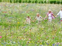 -上海佘山国家森林公园西佘山园