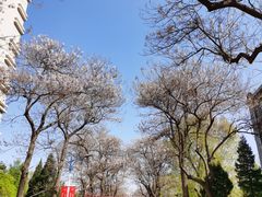 -北京邮电大学