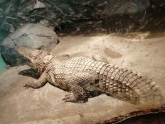 -新疆天山野生动物园