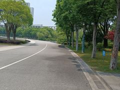 -尚贤河湿地