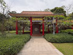 -顺峰山公园