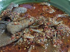 特色毛肚-高记什邡肖麻辣(成都店)