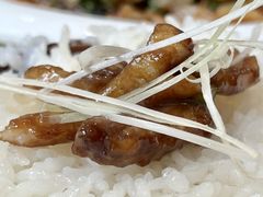 酱炒乌鱼丝-幸福饭店(佛山路东段店)