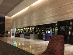-新加坡乌节希尔顿酒店 (SG Clean)