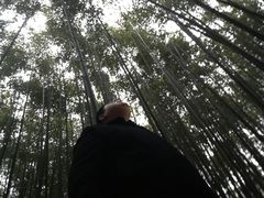 -竹泉村旅游度假区