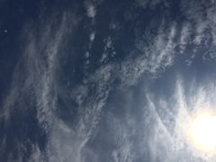 快网网球俱乐部(徐汇爱建园店)-快网网球俱乐部(徐汇爱建园店)