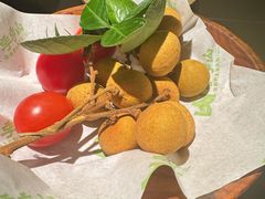 -季季山·云南野生菌火锅(上海首店)