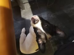 -火焰枪蛋·烧烤(奉天街店)
