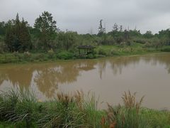 -桤木河湿地公园