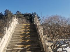 -团结湖公园