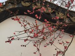 -新白鹿餐厅(金鹰新街口店)