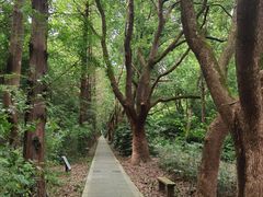 -同里国家湿地公园