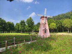 -顺峰山公园