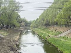 -黛秀湖公园