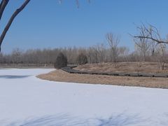 -东郊湿地公园