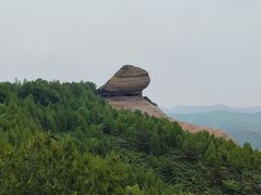 -磬锤峰森林公园