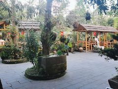 -青城甲(青城山店)