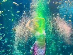 -海合安青岛极地海洋公园