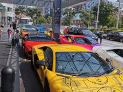 -新加坡瑞士史丹福酒店