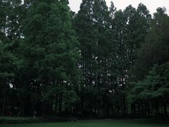 -上海植物园-4号门售票处