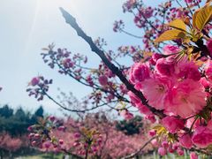 -朝阳公园