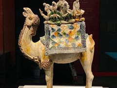 -陕西历史博物馆