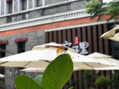 -墨居上隐·院子里火锅(峨眉店)