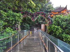 -巴倒烫陆派重庆火锅(南山店)