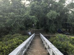 -东寨港红树林旅游区