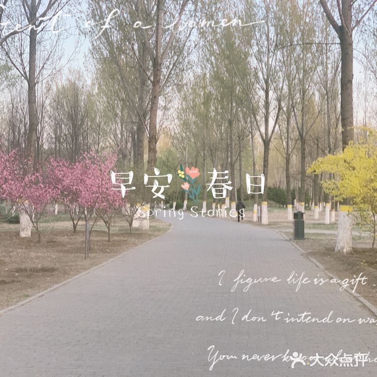 你好 春天｜东小口森林公园[亲亲]