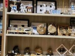 -安徽省地质博物馆