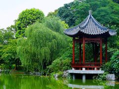 -云溪植物园
