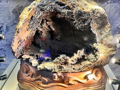 -陕西自然博物馆